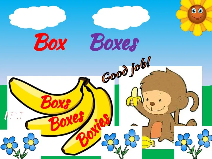 Boxies Boxes Boxs Box Boxes Good job! NEXT