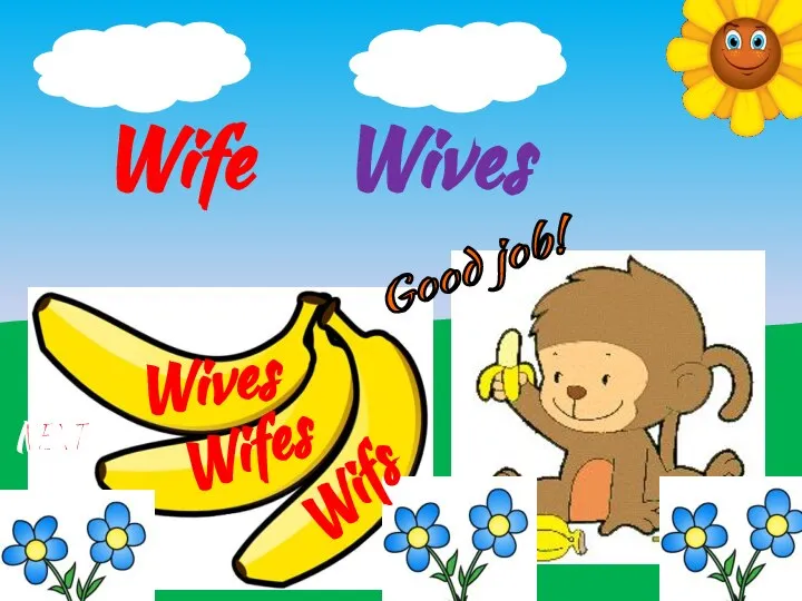 Wifs Wives Wifes Wife Wives Good job! NEXT