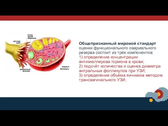 Общепризнанный мировой стандарт оценки функционального овариального резерва состоит из трёх компонентов: 1)