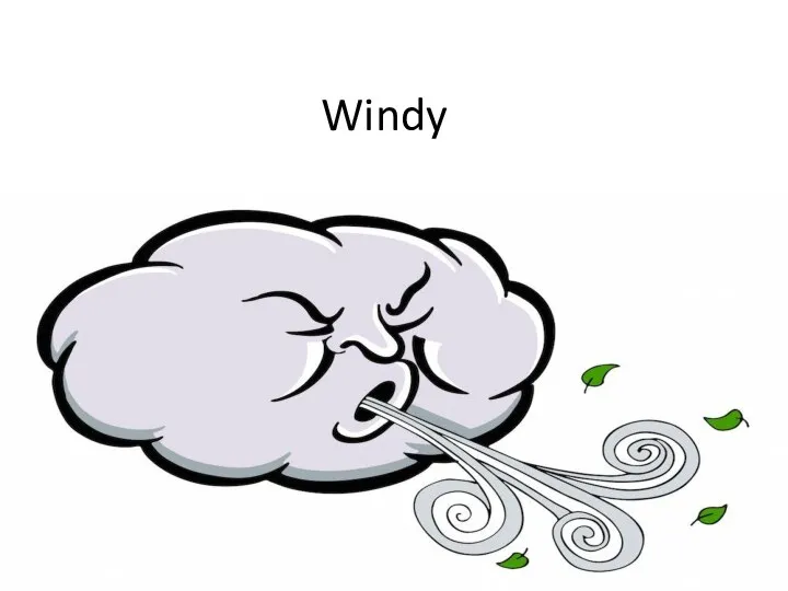 Windy