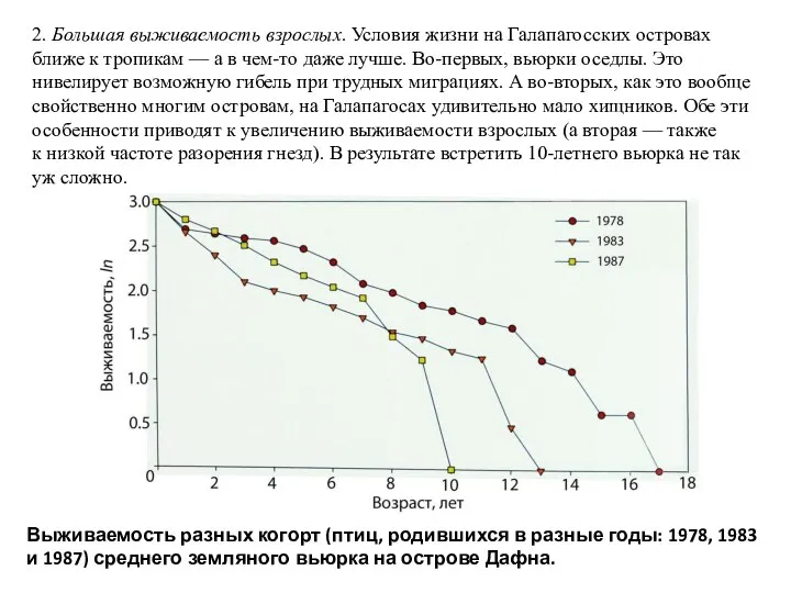 2. Большая выживаемость взрослых. Условия жизни на Галапагосских островах ближе к тропикам