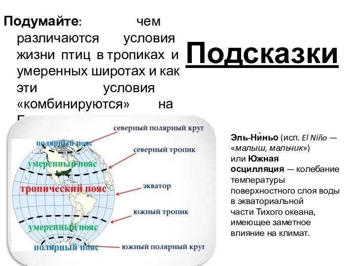 Подсказки Подумайте: чем различаются условия жизни птиц в тропиках и умеренных широтах