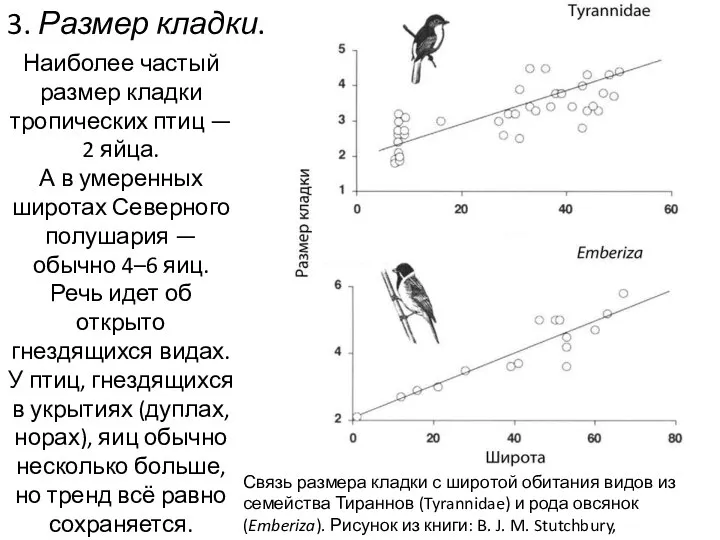 3. Размер кладки. Связь размера кладки с широтой обитания видов из семейства