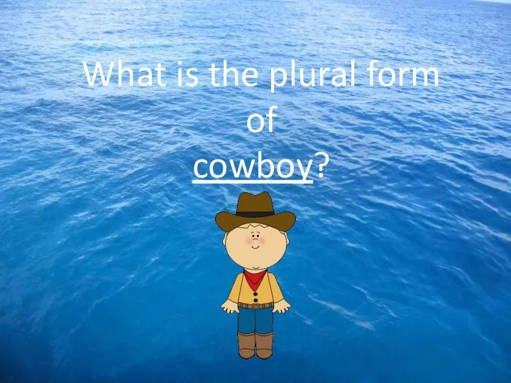 What is the plural form of cowboy?