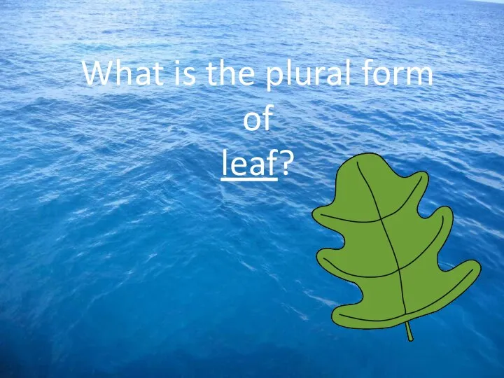 What is the plural form of leaf?