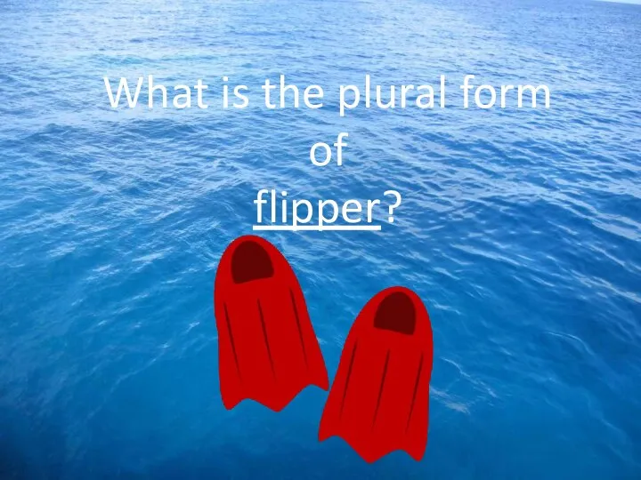 What is the plural form of flipper?