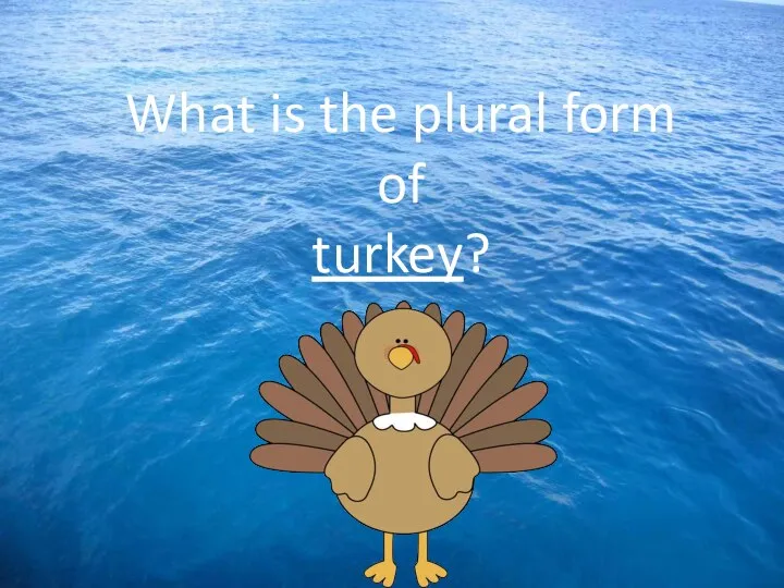 What is the plural form of turkey?
