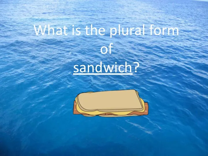 What is the plural form of sandwich?