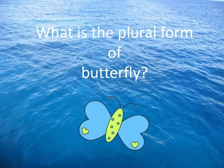 What is the plural form of butterfly?