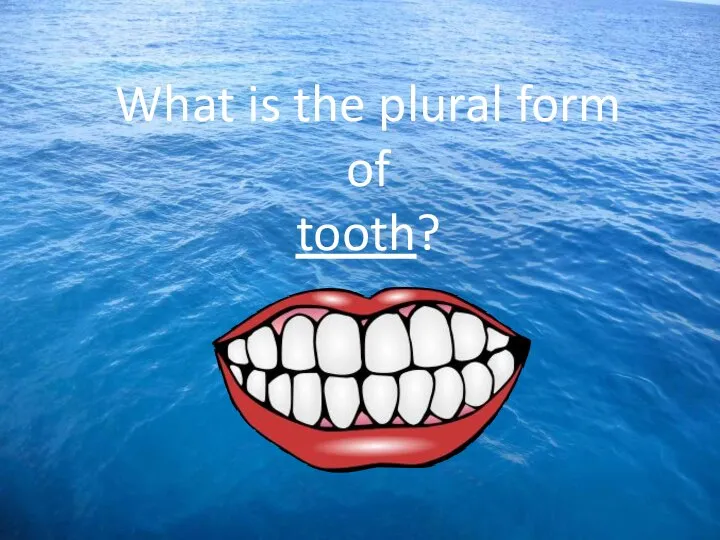 What is the plural form of tooth?