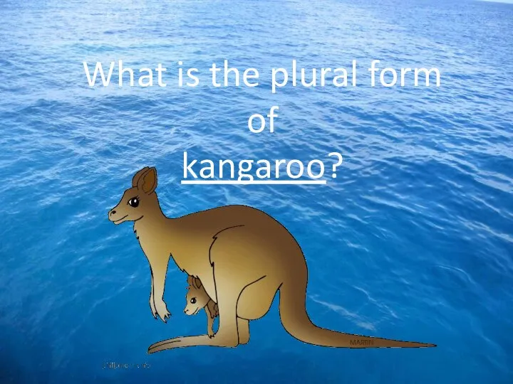 What is the plural form of kangaroo?