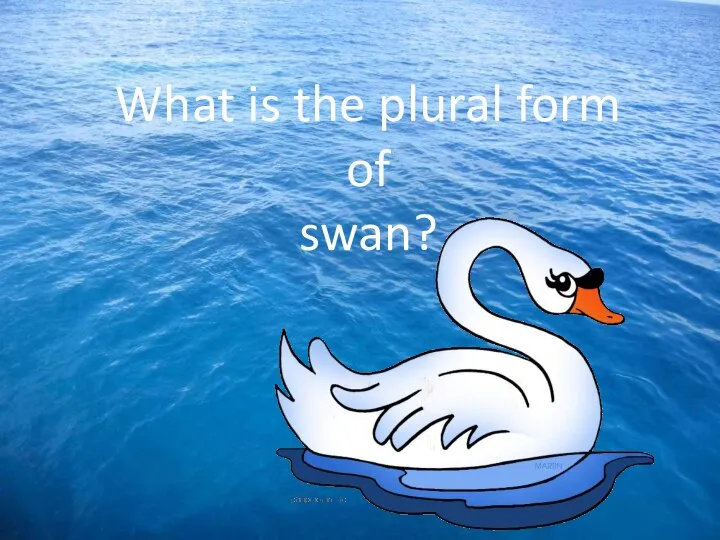 What is the plural form of swan?