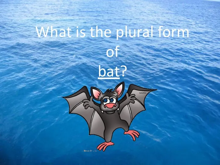 What is the plural form of bat?
