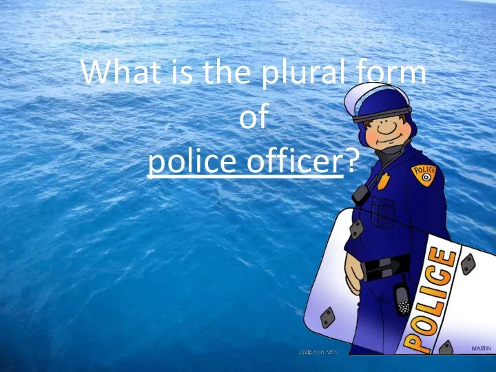 What is the plural form of police officer?