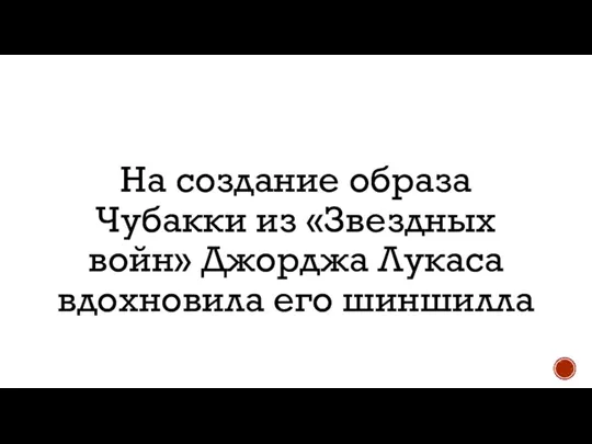 На создание образа Чубакки из «Звездных войн» Джорджа Лукаса вдохновила его шиншилла