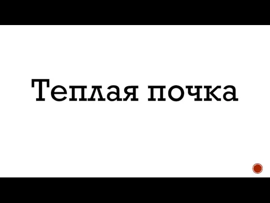 Теплая почка