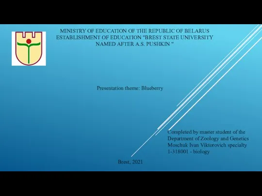 MINISTRY OF EDUCATION OF THE REPUBLIC OF BELARUS ESTABLISHMENT OF EDUCATION "BREST