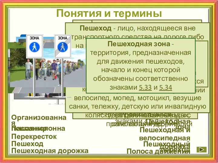 Понятия и термины Организованная пешая колонна Пассажир Перекресток Пешеходная и велосипедная дорожка