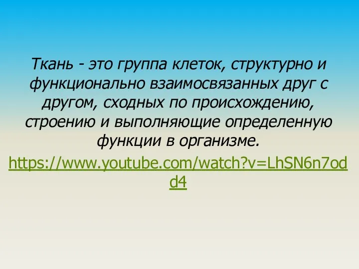 Ткань - это группа клеток, структурно и функционально взаимосвязанных друг с другом,