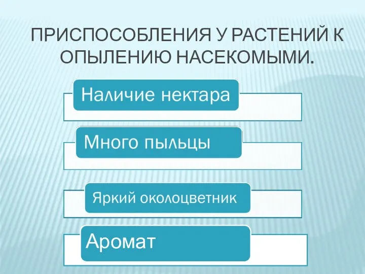 ПРИСПОСОБЛЕНИЯ У РАСТЕНИЙ К ОПЫЛЕНИЮ НАСЕКОМЫМИ.