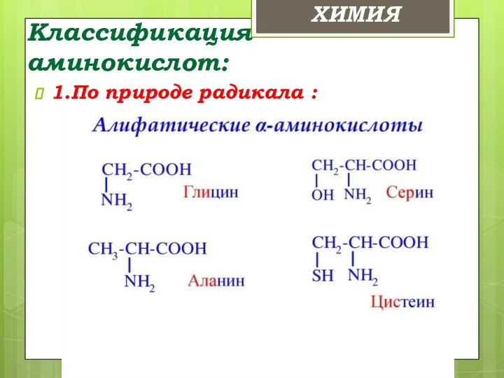 Классификация аминокислот: 1.По природе радикала : ХИМИЯ