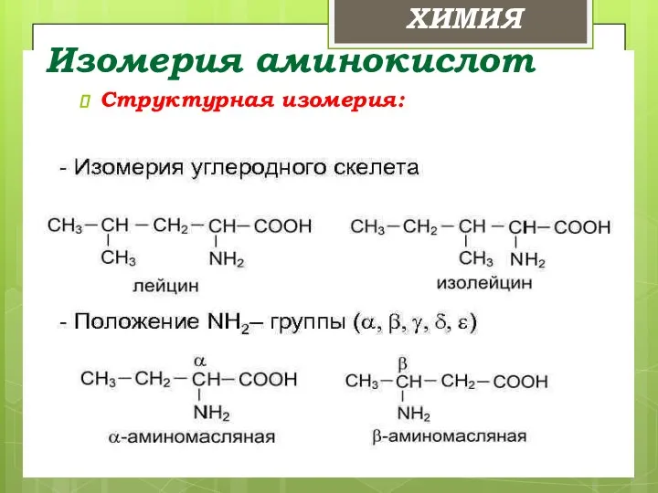 ХИМИЯ Изомерия аминокислот Структурная изомерия: