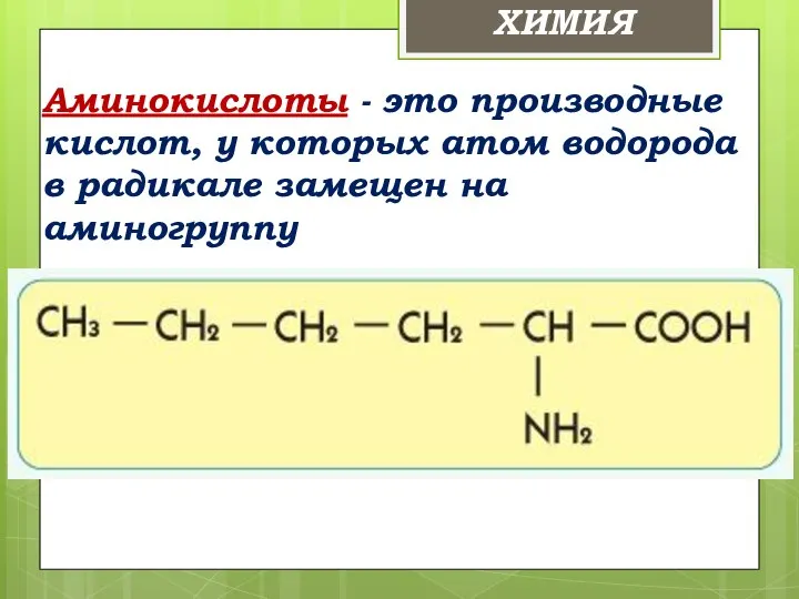Аминокислоты - это производные кислот, у которых атом водорода в радикале замещен на аминогруппу ХИМИЯ