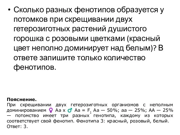 Сколько разных фенотипов образуется у потомков при скрещивании двух гетерозиготных растений душистого