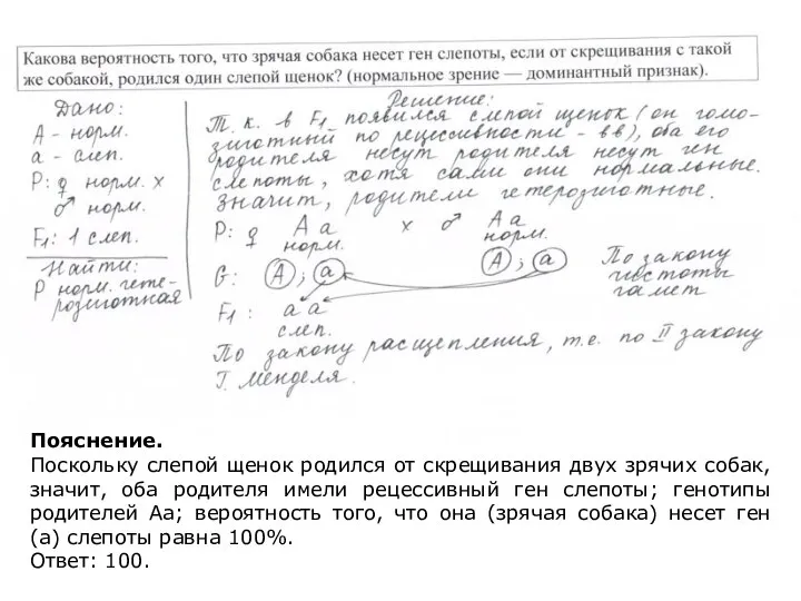 Пояснение. Поскольку слепой щенок родился от скрещивания двух зрячих собак, значит, оба