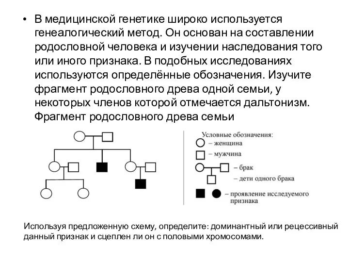 В медицинской генетике широко используется генеалогический метод. Он основан на составлении родословной