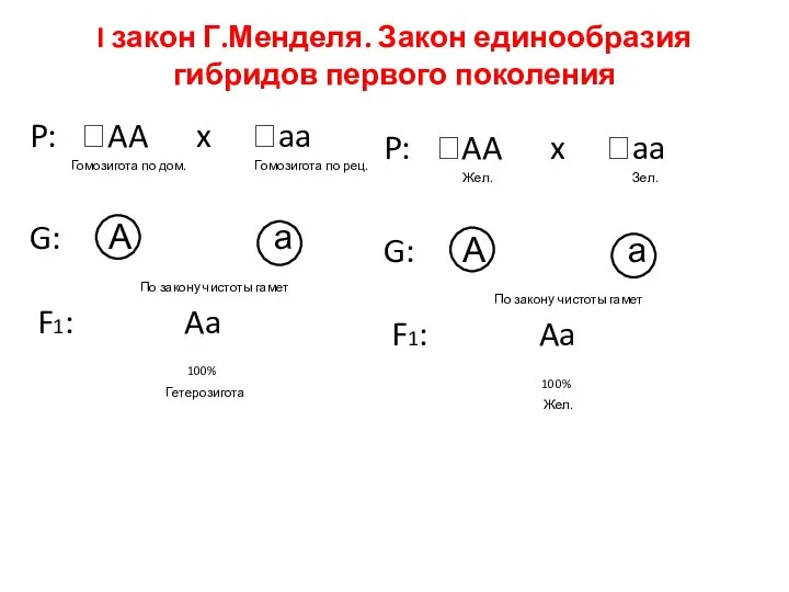 I закон Г.Менделя. Закон единообразия гибридов первого поколения P: ߐAA x ꘧aa