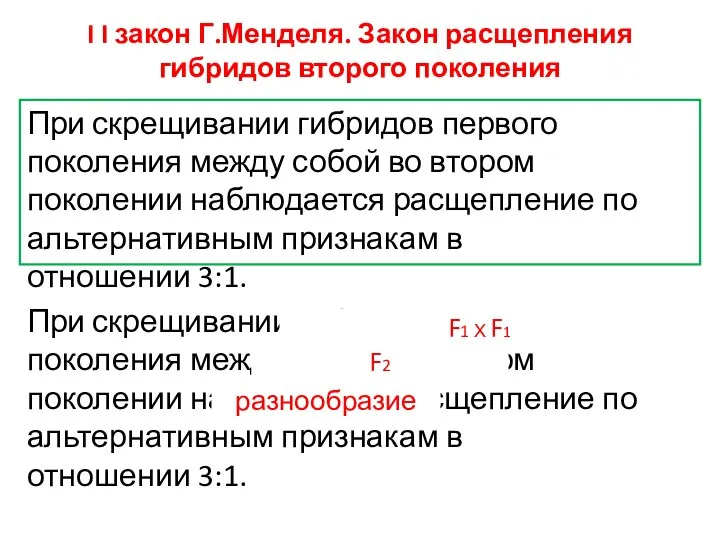 I I закон Г.Менделя. Закон расщепления гибридов второго поколения При скрещивании гибридов