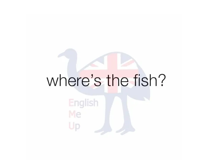 where’s the fish?