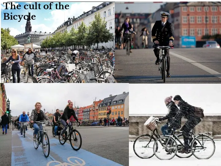 The cult of the Bicycle