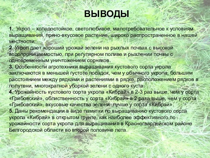 ВЫВОДЫ 1. Укроп – холодостойкое, светолюбивое, малотребовательное к условиям выращивания, пряно-вкусовое растение,