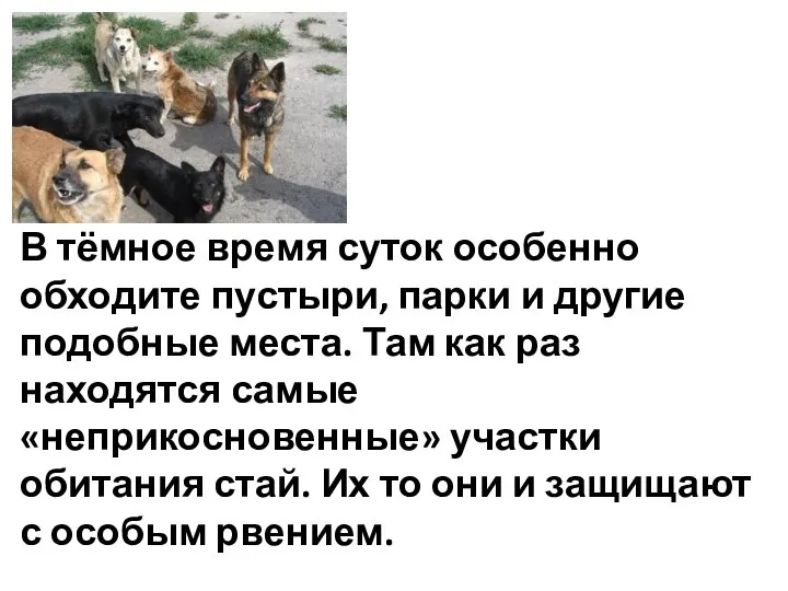 В тёмное время суток особенно обходите пустыри, парки и другие подобные места.