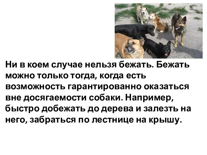 Ни в коем случае нельзя бежать. Бежать можно только тогда, когда есть