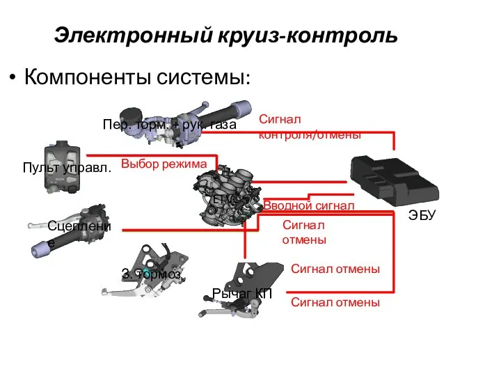 Электронный круиз-контроль Компоненты системы: Сцепление ЭБУ Сигнал контроля/отмены Вводной сигнал Пер. торм.