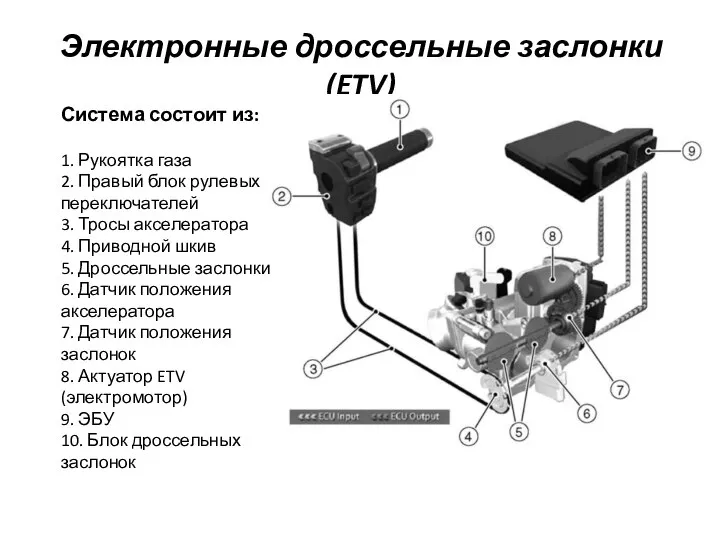 Электронные дроссельные заслонки (ETV) 1. Рукоятка газа 2. Правый блок рулевых переключателей