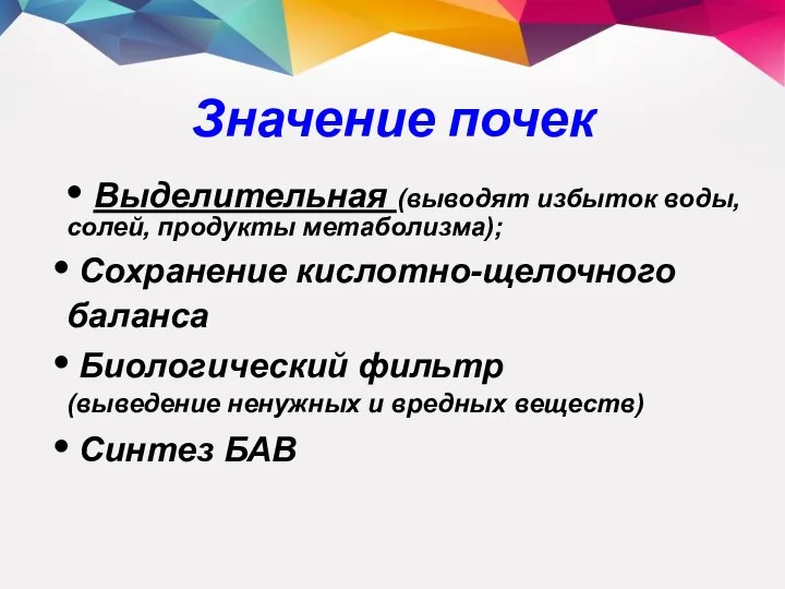 Значение почек • Выделительная (выводят избыток воды, солей, продукты метаболизма); Сохранение кислотно-щелочного