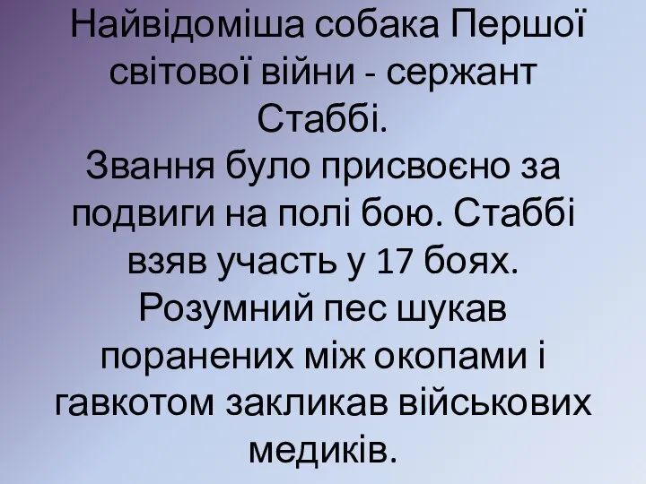 Найвідоміша собака Першої світової війни - сержант Стаббі. Звання було присвоєно за