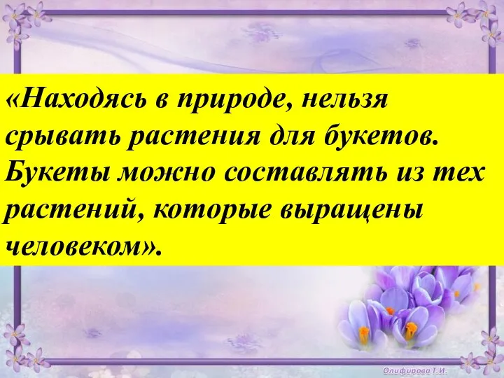 «Находясь в природе, нельзя срывать растения для букетов. Букеты можно составлять из