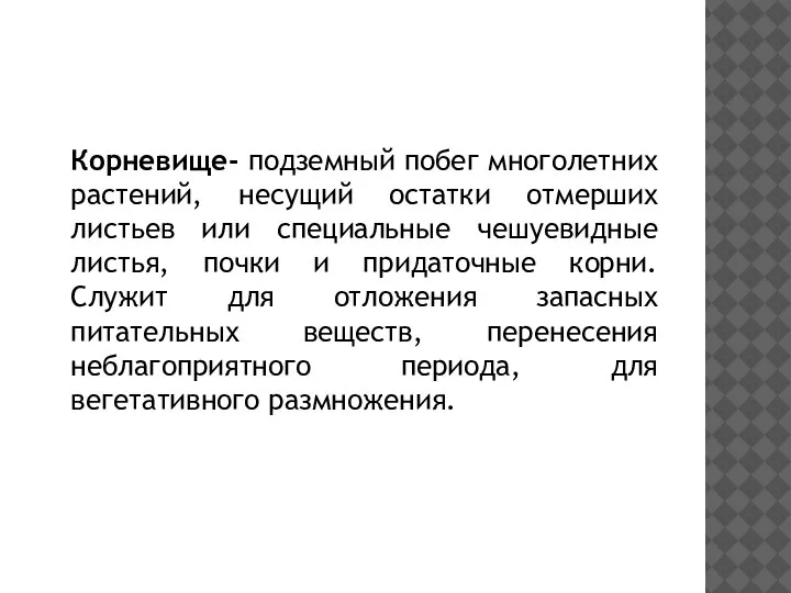 Корневище- подземный побег многолетних растений, несущий остатки отмерших листьев или специальные чешуевидные