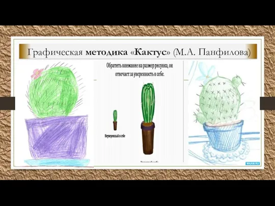 Графическая методика «Кактус» (М.А. Панфилова)