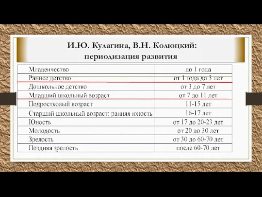 И.Ю. Кулагина, В.Н. Колюцкий: периодизация развития