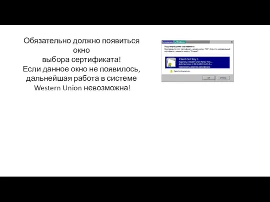 Обязательно должно появиться окно выбора сертификата! Если данное окно не появилось, дальнейшая