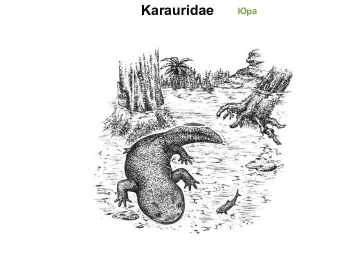 Karauridae Юра