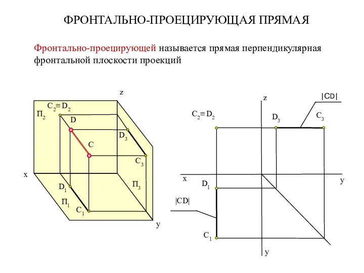 |СD| y z П2 П1 П3 C2≡ D2 D1 C1 D3 D