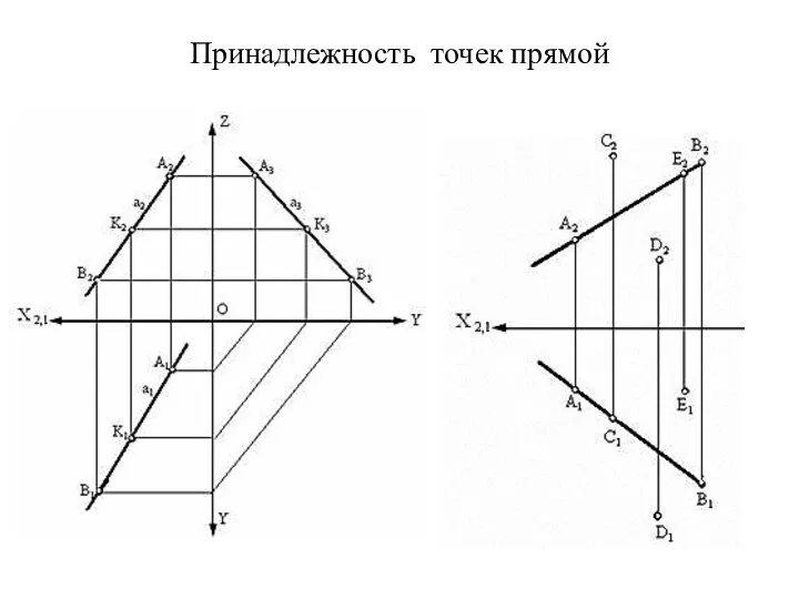 Принадлежность точек прямой