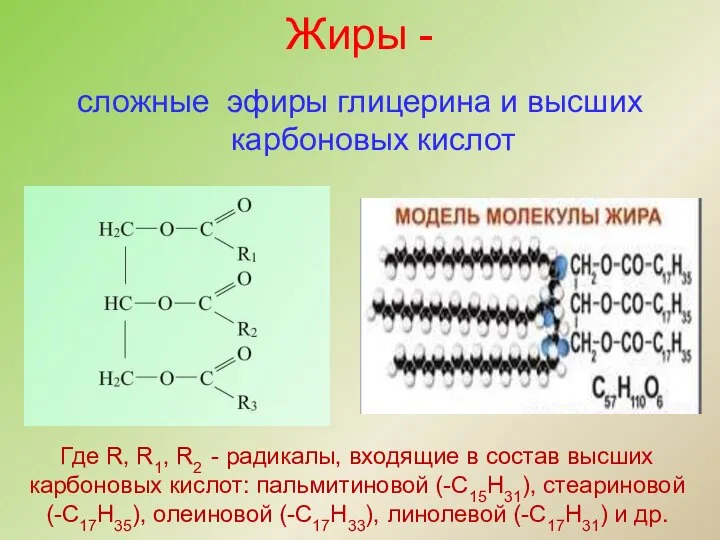 Жиры - сложные эфиры глицерина и высших карбоновых кислот Где R, R1,